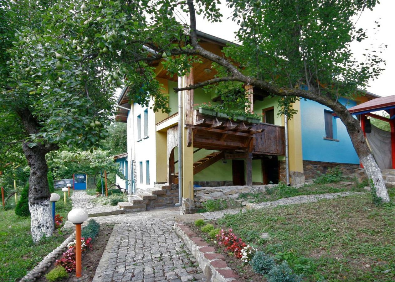 Zlatna Panega Chuchi Guest House 1 מראה חיצוני תמונה